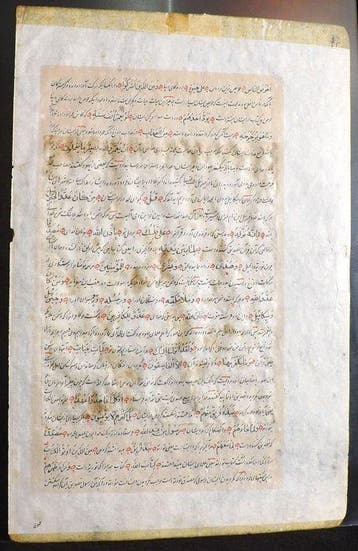 - - Middle-East Illuminated Manuscript Folio with Equestrian