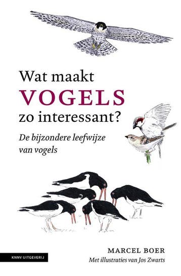 Wat maakt vogels zo interessant? 9789050117500 Marcel Boer, Verzenden, Gelezen, Marcel Boer