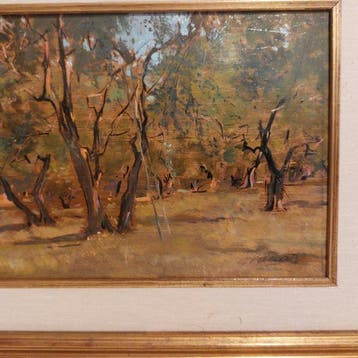 Piero Vaccari (1926-1997) - Uliveto