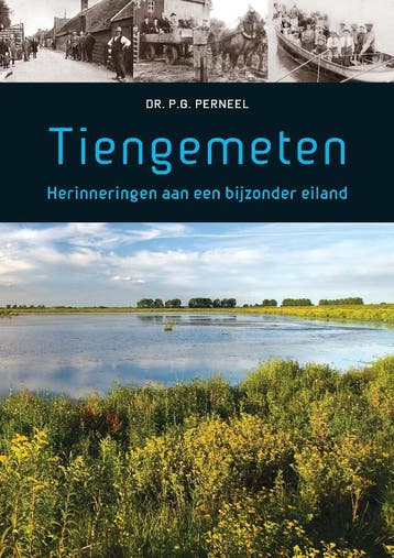 Tiengemeten 9789052352145 P.G. Perneel, Verzenden, Zo goed als nieuw, P.G. Perneel
