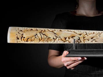GEEN RESERVEPRIJS - Prachtige grote zwaardvisrostrum op, Nieuw