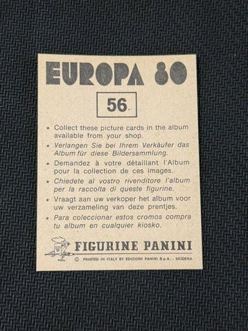 1980 Panini Europa 80 Badge Nederland Sticker - Presque, Collections