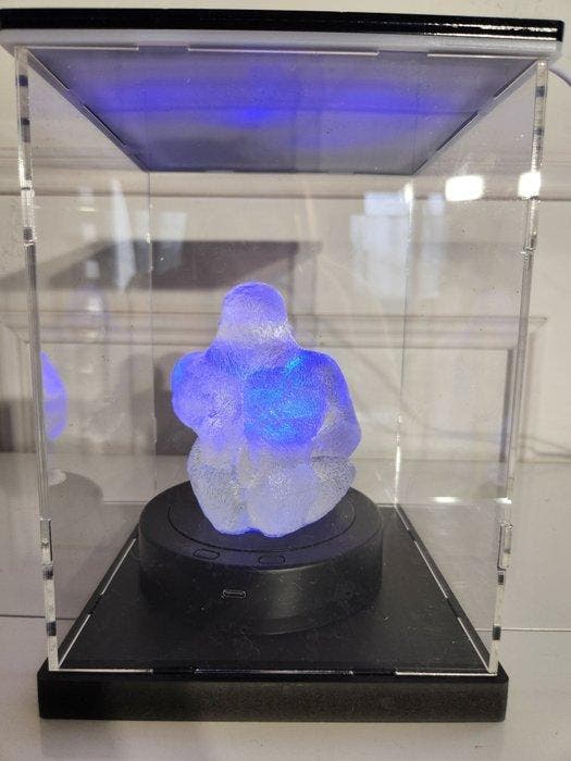 CQFD - Artiste professionnel - Primal Hologram, Antiek en Kunst, Kunst | Designobjecten