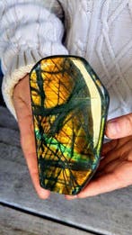 zeldzame kleur kameleon turquoise + goud kleuren