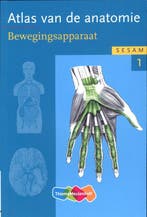 Sesam atlas van de anatomie - deel 1 / deel 1, Verzenden, Werner Platzer