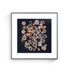 Jorge Omeñaca - Fractales