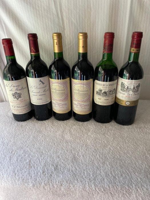 1991 La Dame de Montrose 1998 x 2 Château Cateau Bellevue, Collections, Vins