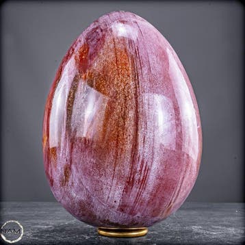 Ei van natuurlijk versteend hout – 4,4 kg fossiele