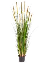 Kunstplant Vossenstaart Gras Groen 150 cm, Huis en Inrichting, Kamerplanten, Verzenden