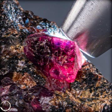 Zeldzaam natuurlijk robijn-ruw kristal op matrix – intens