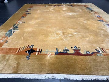 Nepal - Tapis - 295 cm - 250 cm