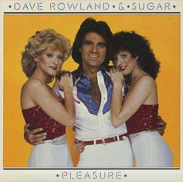 Dave Rowland &amp; Sugar - Pleasure, Verzenden, Gebruikt