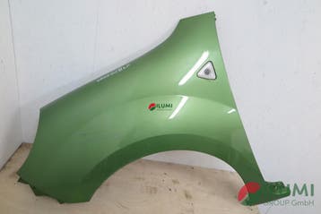 Linker voorste spatbord Renault Kangoo II III, Autos : Pièces & Accessoires, Verzenden