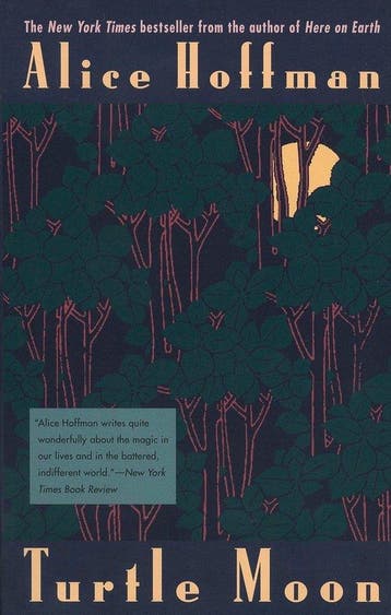 Turtle Moon 9780425161289 Alice Hoffman, Verzenden, Gelezen, Alice Hoffman