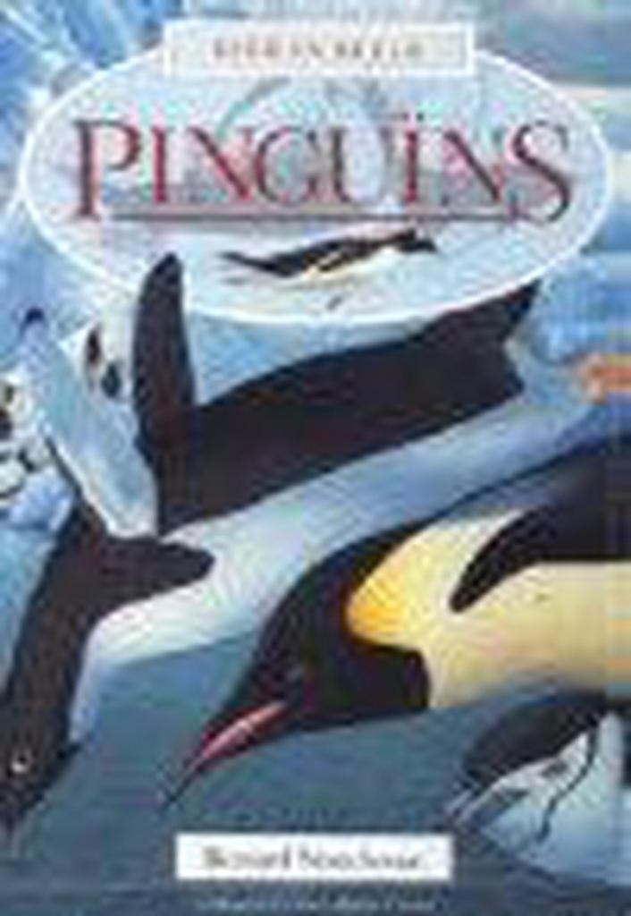 Pinguins / Dier in beeld 9789054832706 B. Stonehouse, Boeken, Kinderboeken | Jeugd | 10 tot 12 jaar, Gelezen, Verzenden