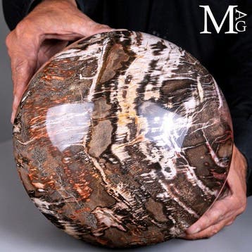 Fossielhout Bol Jurassic Design - Grote versteende houten