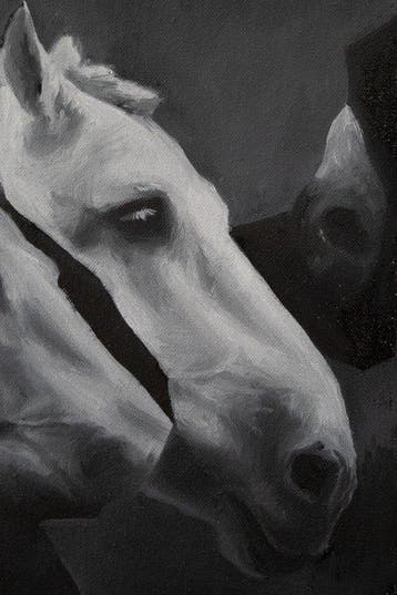 Samuel M Saucedo - Caballo