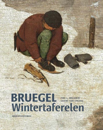 Bruegels wintertaferelen 9789462302211, Verzenden, Zo goed als nieuw
