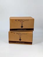 2024 Guado al Tasso, Il Bruciato - Bolgheri - 12 Flessen, Nieuw
