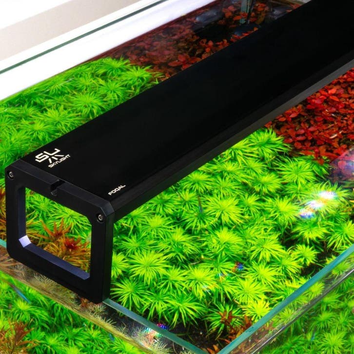 Skylight FOQAL F3XL.120S - 119cm 80W 7456lm - Suspended, Dieren en Toebehoren, Vissen | Aquaria en Toebehoren, Nieuw, Verzenden