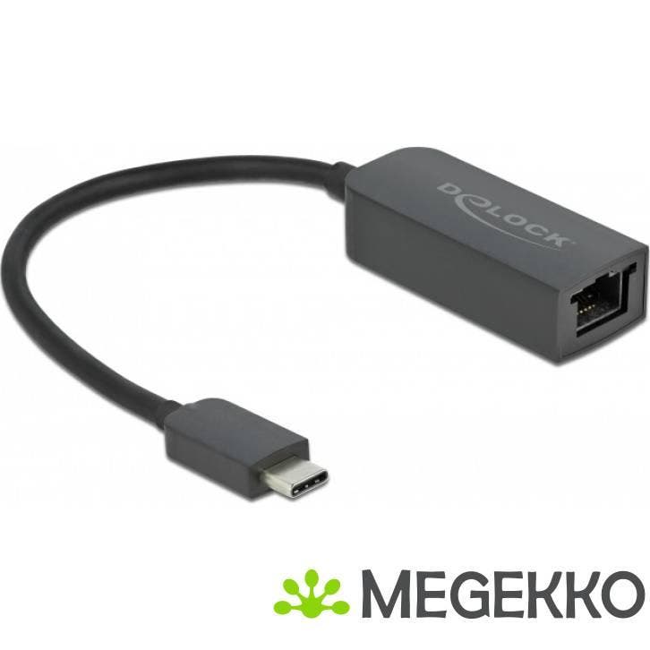 Delock 66645 Adapter USB Type-C male naar 2,5 Gigabit LAN, Computers en Software, Overige Computers en Software, Nieuw, Verzenden