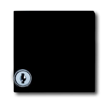 ABB Busch-Jaeger All-Weather Adapter Cover IP44 2118 GKSL-35, Verzenden
