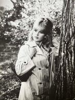 / - Brigitte Bardot Vintage Press Photograph 1963 Interfoto