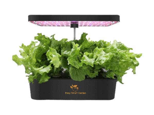 Easy Smart Garden 14, Tuin en Terras, Kweekspullen, Nieuw, Verzenden