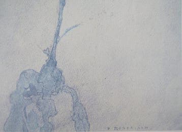 Piet Mondrian (1872-1944) - Fleur de neige