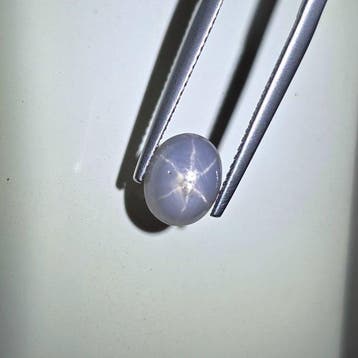 Sans prix de réserve Saphir étoilé - 3.10 ct - International, Handtassen en Accessoires, Nieuw