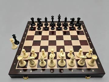 BESTCHIC - Schaakspel - Championship chess set, Antiek en Kunst