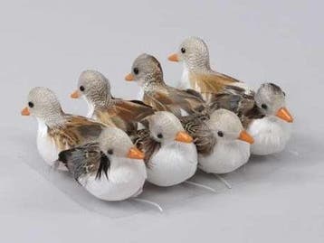 Eendjes Wit Bruin 7 cm 8 stuks