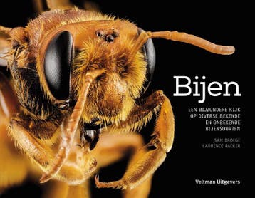 Bijen 9789048313037 Laurence Packer, Verzenden, Laurence Packer