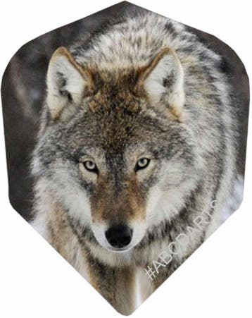 Lone Wolf - 5 sets (Dart Flights), Ophalen of Verzenden, Pijlen