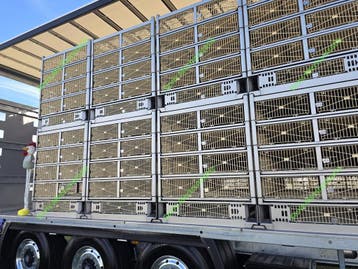 Containers met kippen Palletvork Kippenboxen, Veehouderij