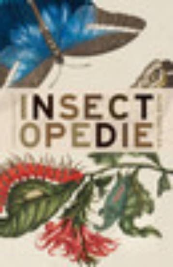 Insectopedie 9789025435271 Hugh Raffles, Verzenden, Hugh Raffles