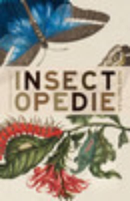 Insectopedie 9789025435271 Hugh Raffles, Livres, Science, Envoi