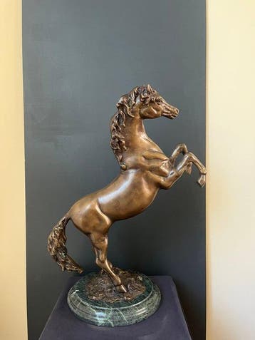 Statue, Steigerend paard - gepatineerd - 56 cm - Régule,