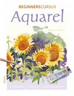 Beginnerscursus aquarel 9789044707168 M. Willenbrink, Verzenden, Gelezen, M. Willenbrink