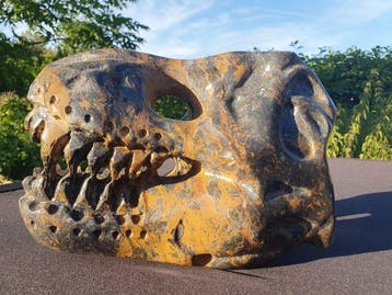 Grote met de hand gesneden T-Rex schedel - koperjaspis -