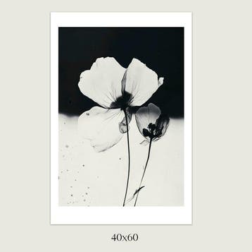Jorge Omeñaca (1981) - Flowerink