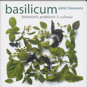 Basilicum 9789058975256 P. Bauwens, Verzenden, P. Bauwens
