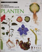 BEELDWOORDENBOEK-PLANTEN 9789065905765 Auteur, Gelezen, Verzenden, Nederlands, Auteur