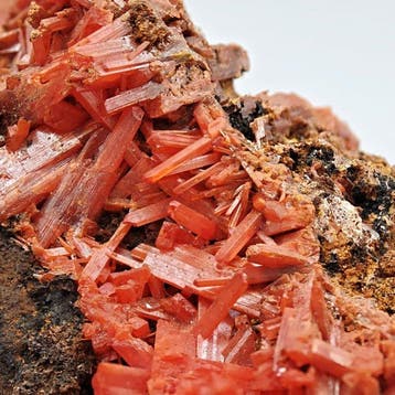 CROCOITE ROSSA, weefsel van kristallen, Australië!