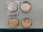 Nederland. 10 Gulden Lot 4 coins (Zonder minimumprijs)