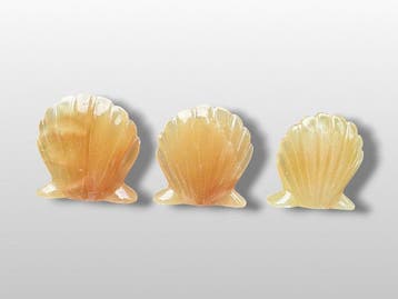 Calcite miel faite à la main Shell- 550 g - (3)