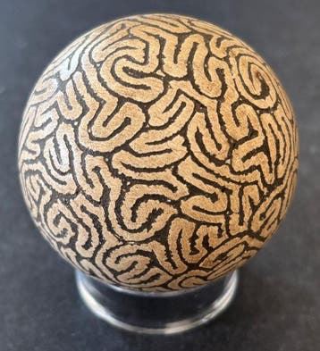 Twee stenen Taino ballen met ingenieuze graveringen - Pre
