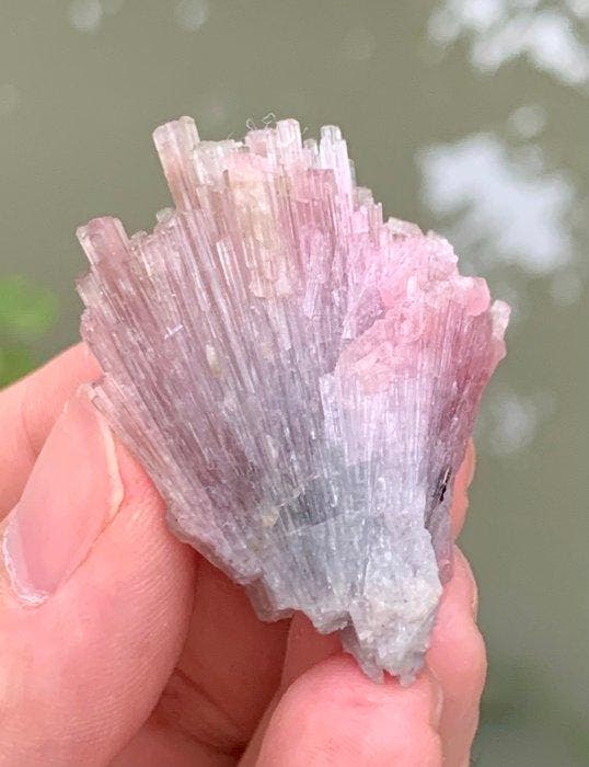 Geen minimumprijs Toermalijn, volle tros kristallen, roze, Verzamelen, Mineralen en Fossielen