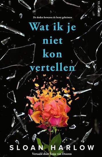Wat ik je niet kon vertellen 9789000393725 Sloan Harlow, Boeken, Verzenden, Gelezen, Sloan Harlow