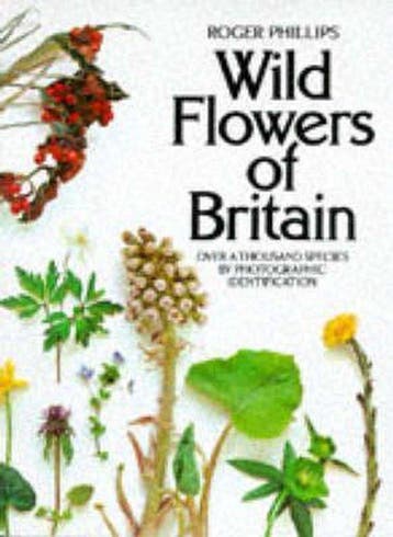 Wild Flowers of Britain - Phillips, Verzenden, Nieuw
